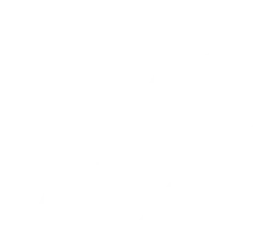 NYC Vize logosu