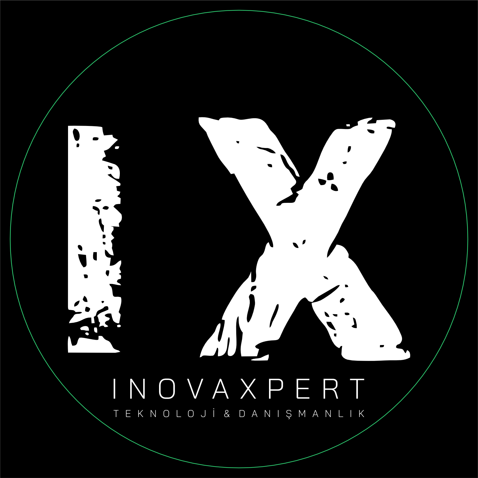INOVAXPERT DANIŞMANLIK AJANS TERCÜME VİZE logosu
