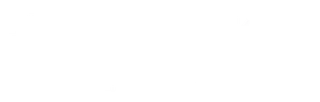 Tekin Tercüme & Vize Bürosu logosu