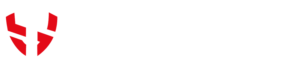 ST Grup logosu