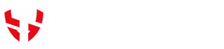 ST Grup logosu
