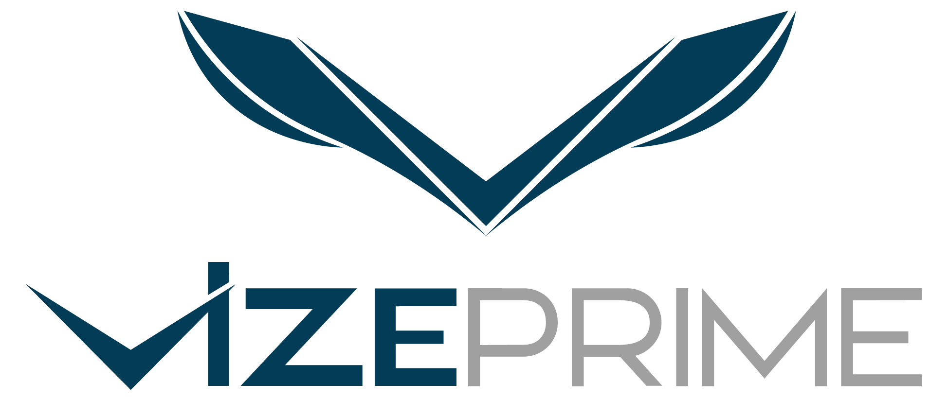 Vize Prime Danışmanlık logosu