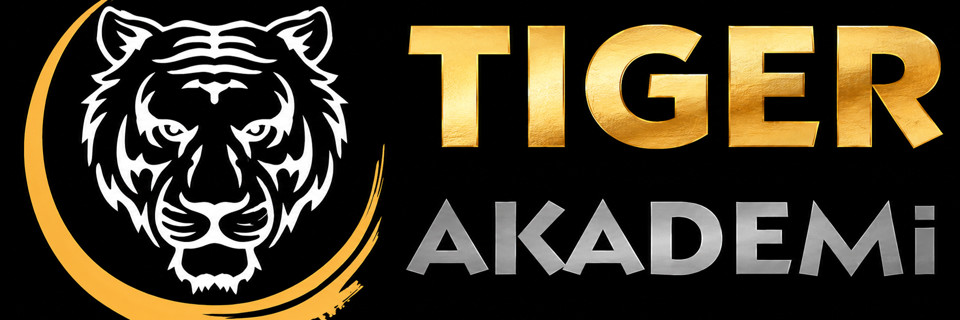TİGER AKADEMİ logosu