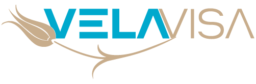 Vela Visa logosu
