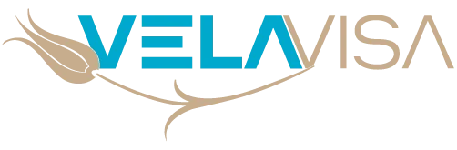 Vela Visa logosu