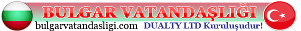 DUALITY logosu