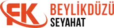 SARAY FK Beylikdüzü Seyahat logosu