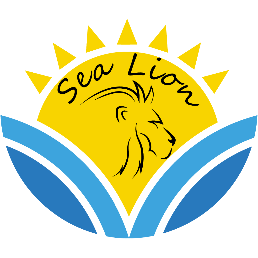 VisaGo Vize Danışmanlık Hizmetleri logosu