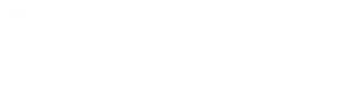 VizePro logosu