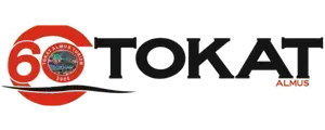 60 Tokat Almus Turizm logosu