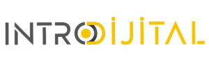 FIVIO Turizm & Eğitim logosu