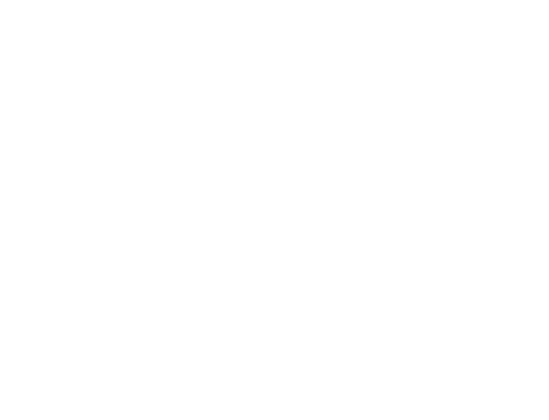 United Global Visa Services logosu