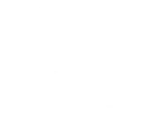 United Global Visa Services logosu